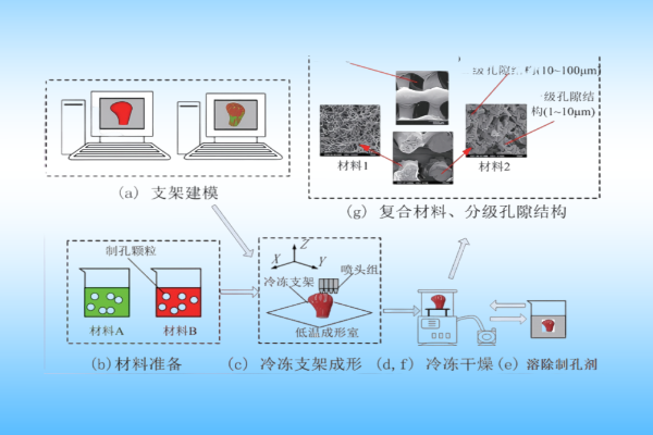 低温沉积 (LTD) 3D 打印技术在人工骨修复材料中的应用