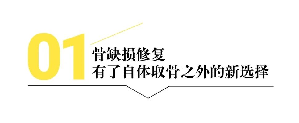 15年破局!全球首款含镁人工骨,开辟骨修复“新生路”