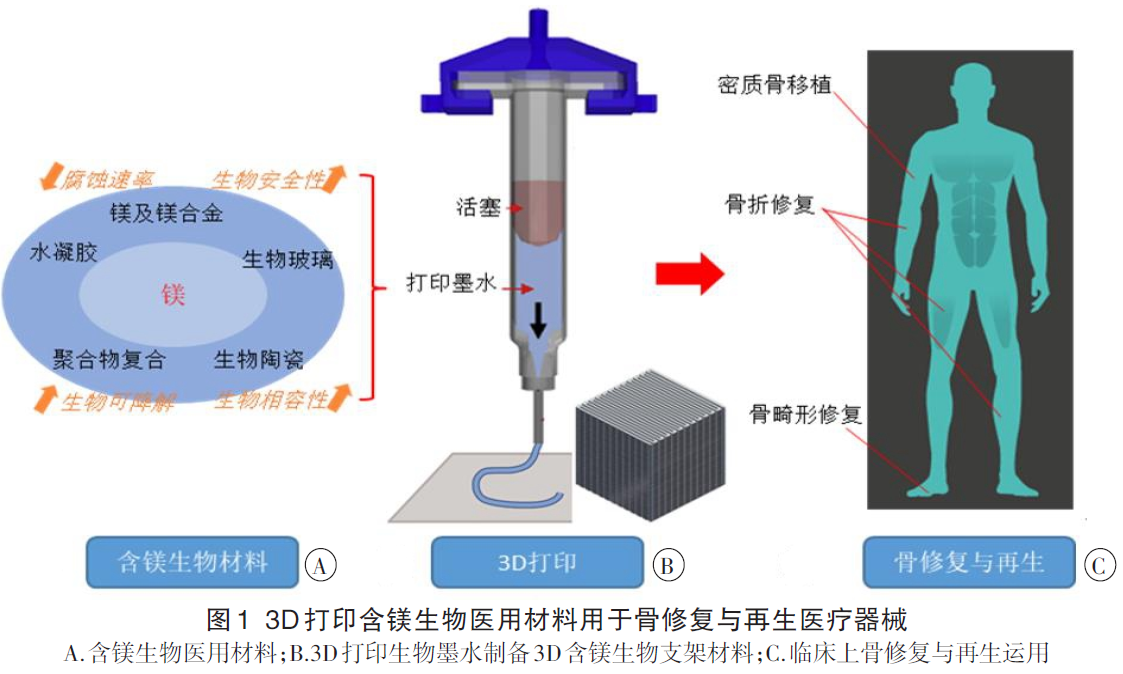 3D打印含镁生物医用材料用于骨修复与再生医疗器械
