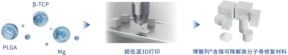 低温3D打印含镁可降解高分子骨修复材料
