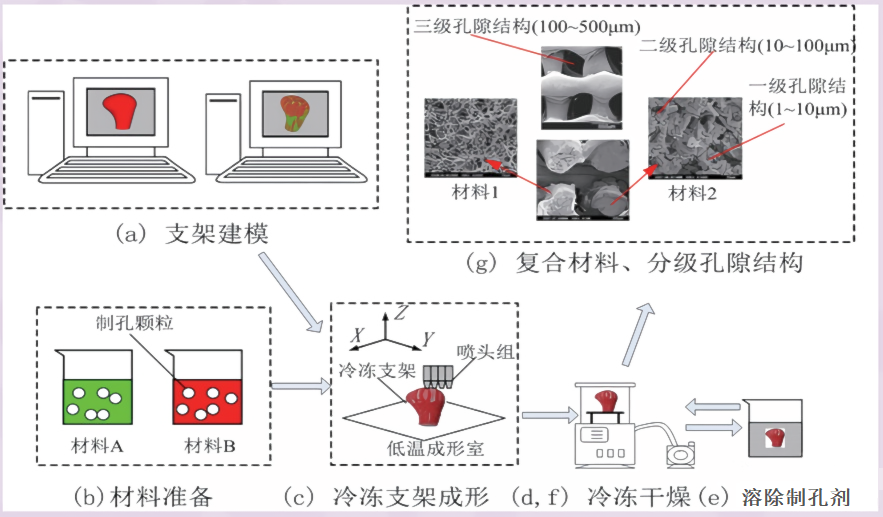 低温沉积生物3D打印原理图